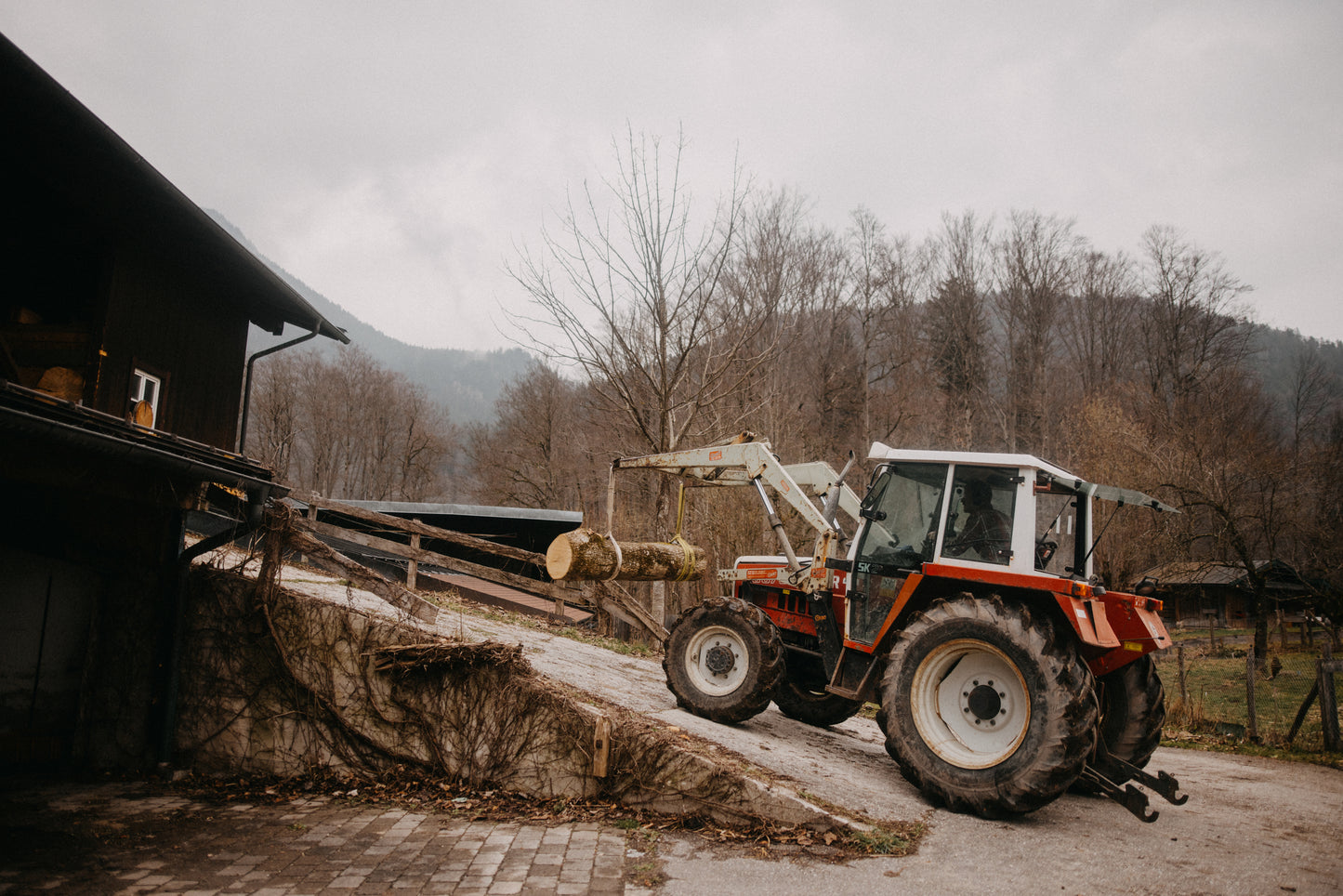 NS54 - Small Live Edge Bowl (Franz Keilhofer GERMANY)