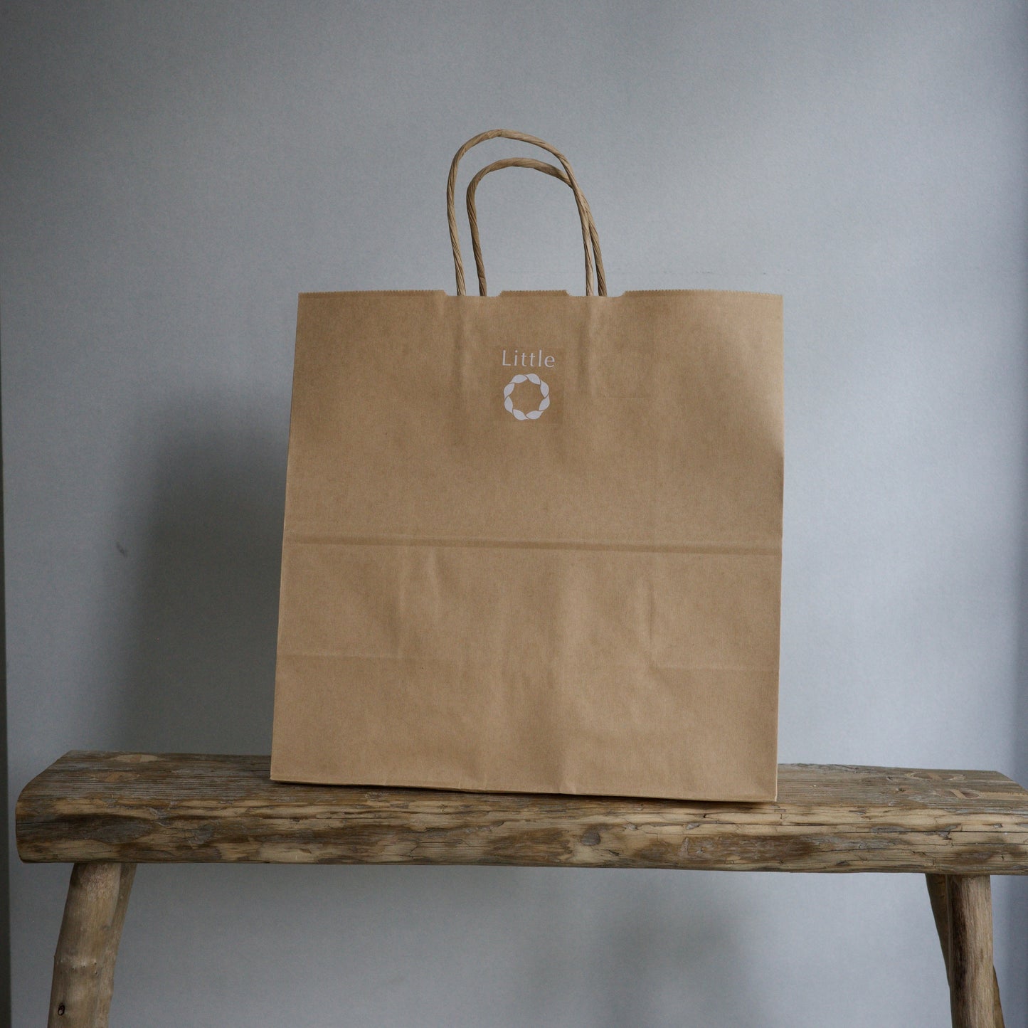 Paper bags (carrying bags)