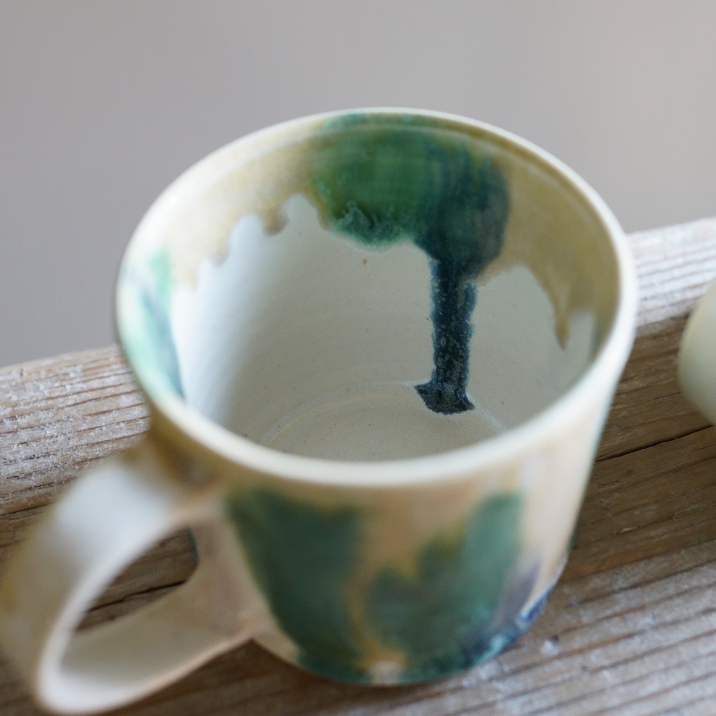 Spring Lights Mug