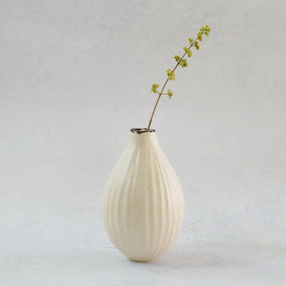 216A 白花 White Lily