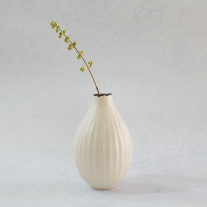 216A 白花 White Lily