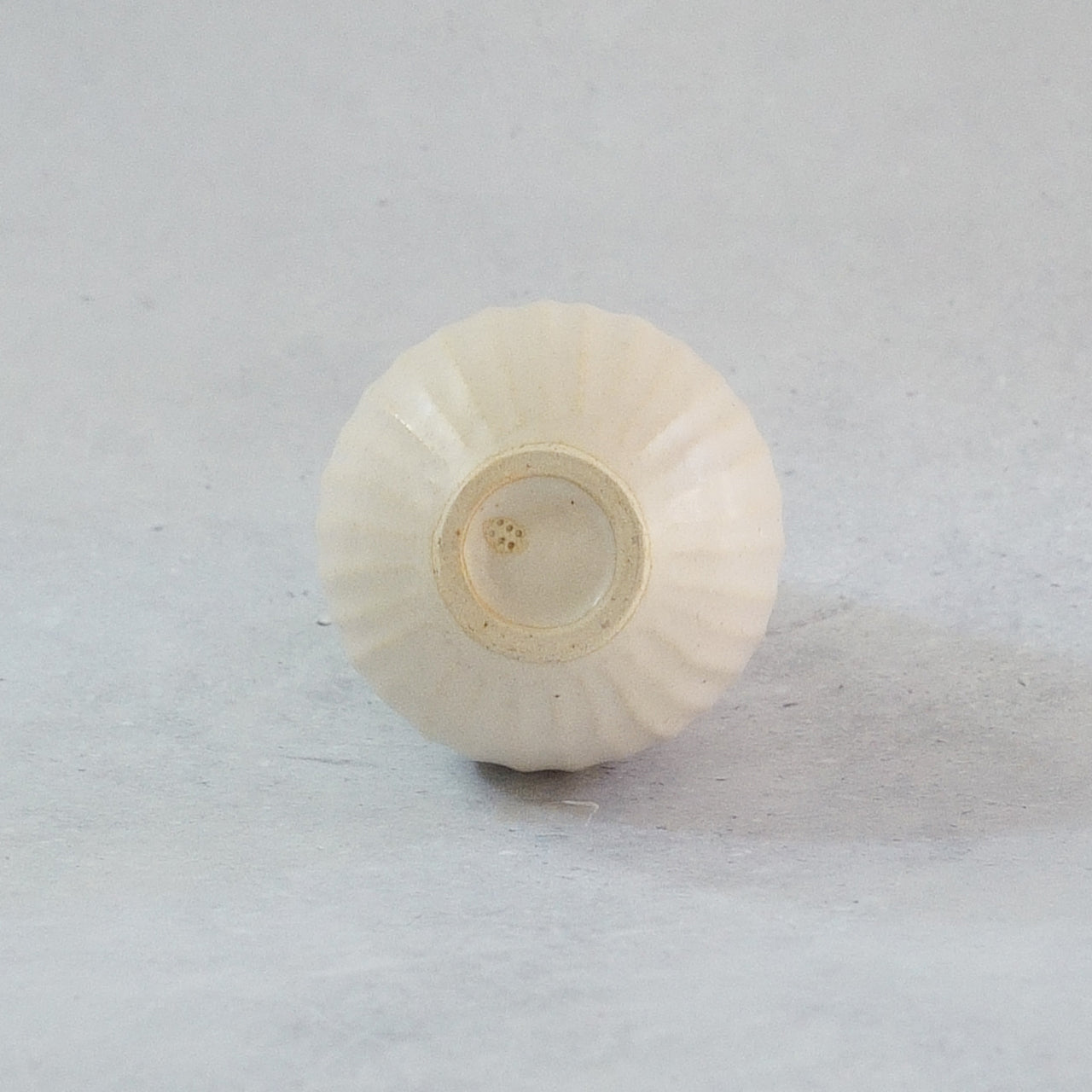 216A 白花 White Lily