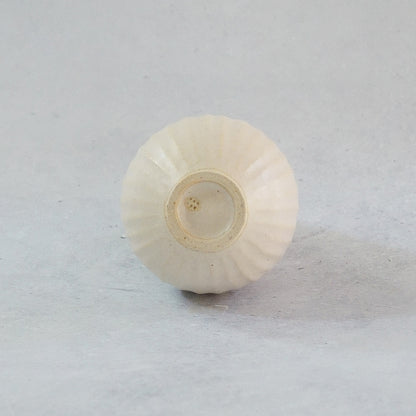 216A 白花 White Lily