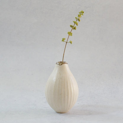 216B 白花 White Lily