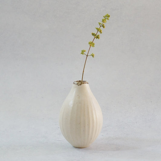 216B 白花 White Lily