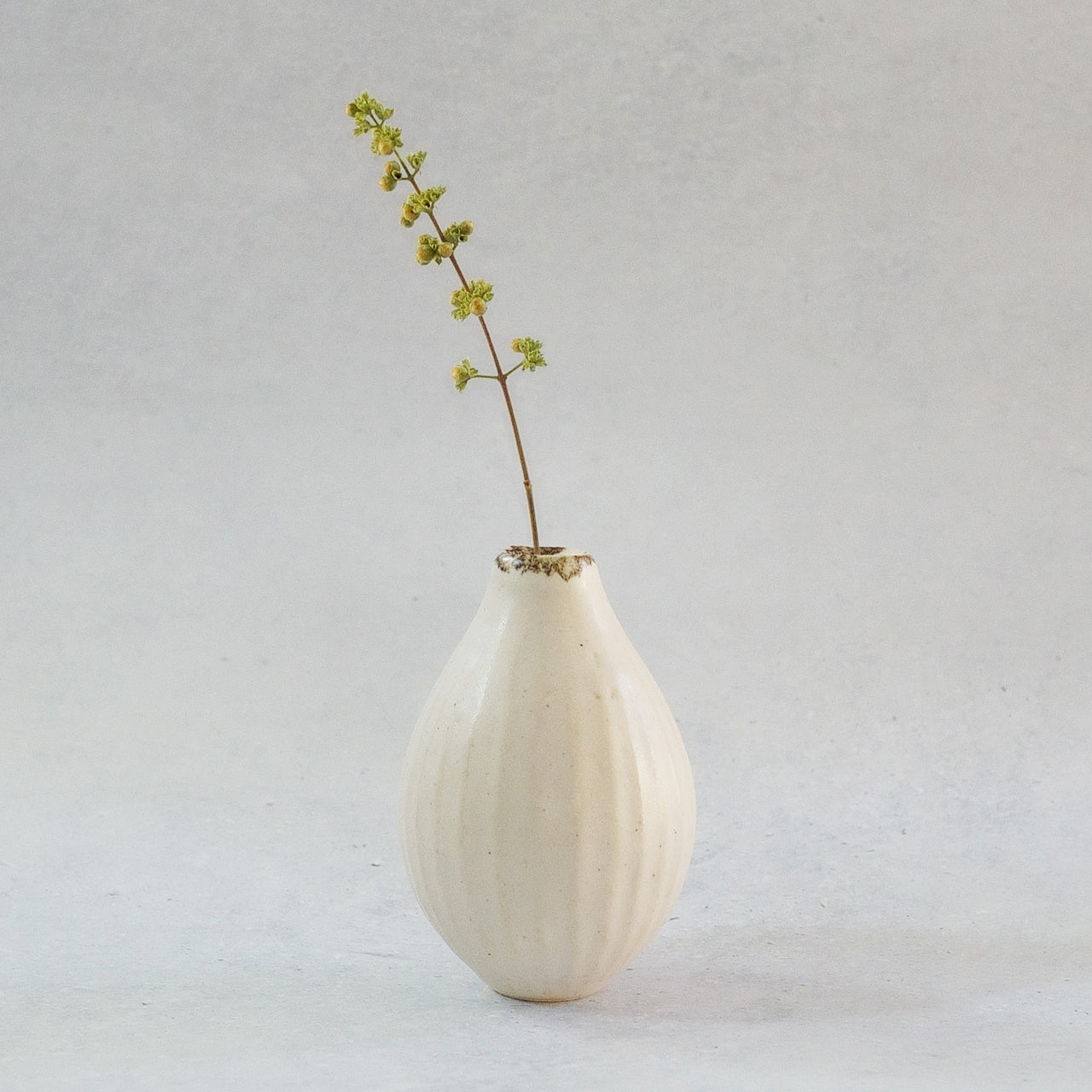 216B 白花 White Lily – Little