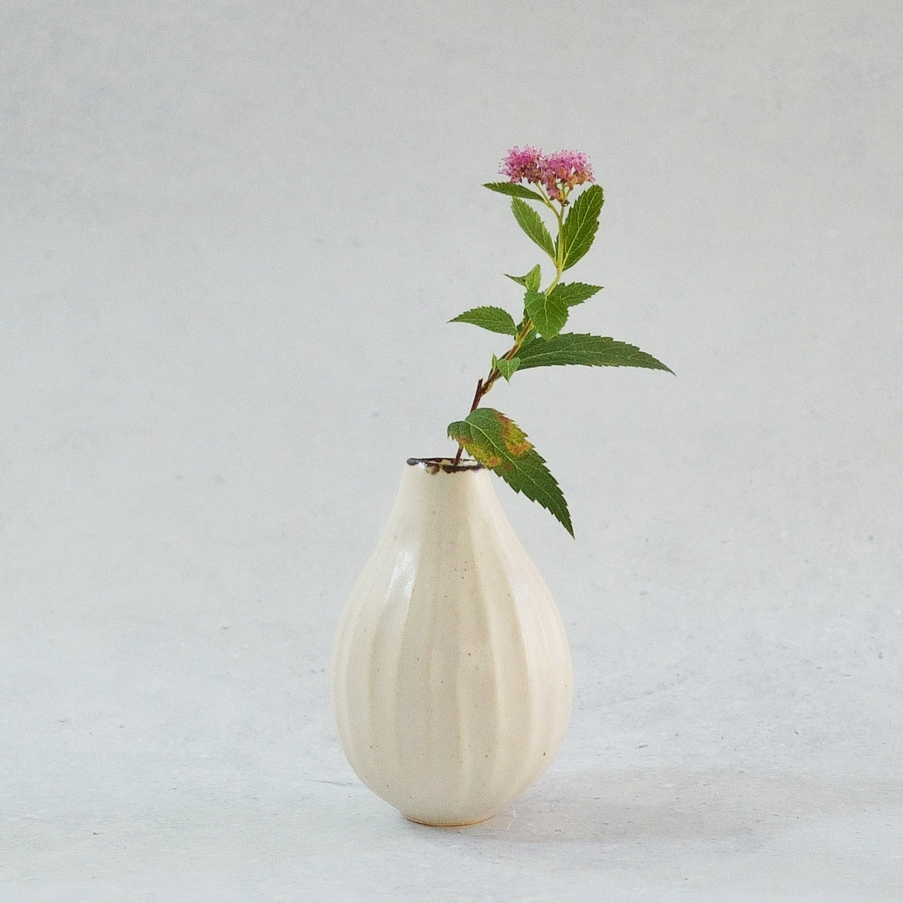 217 白花 White Lily Small