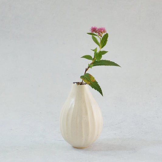 217 白花 White Lily Small