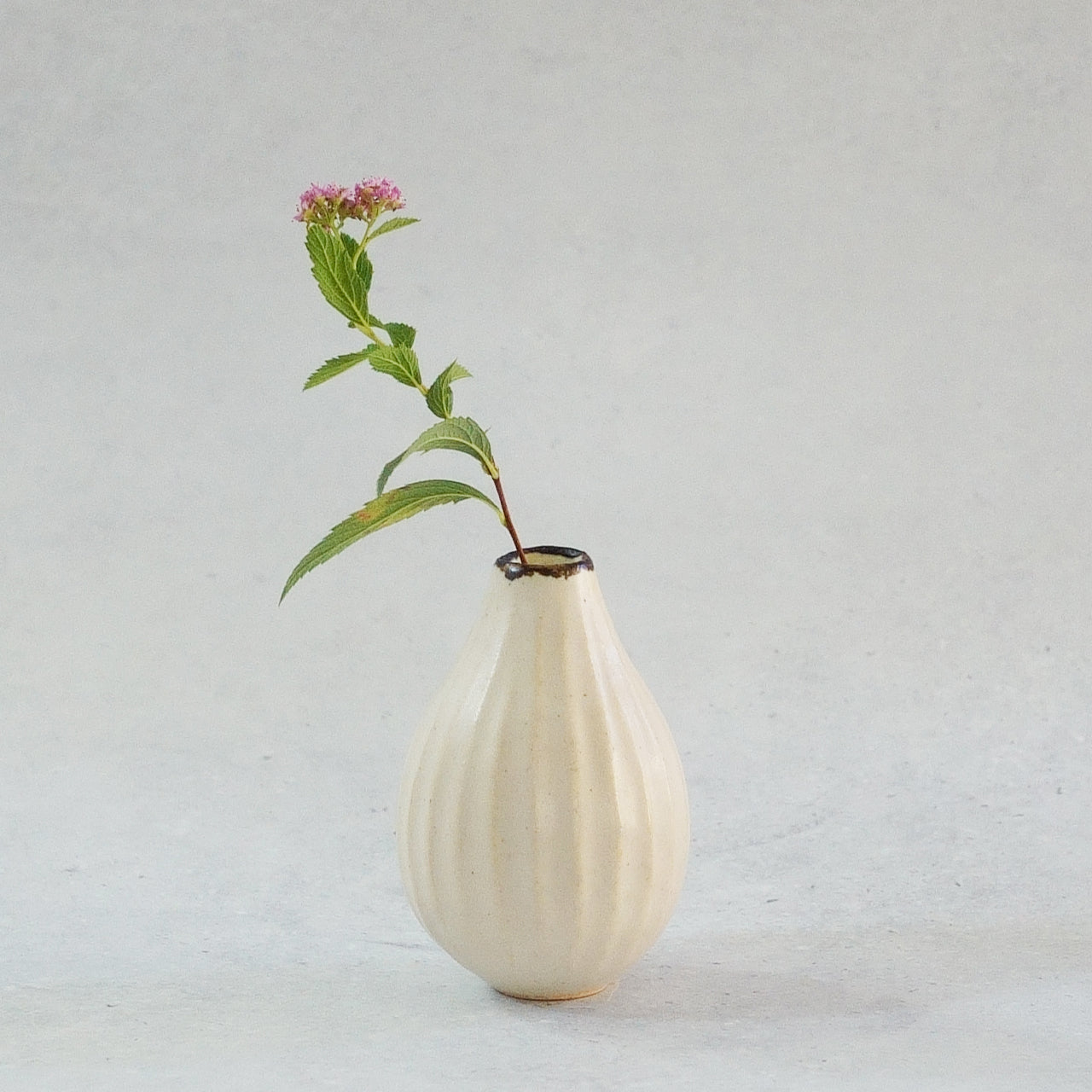 217 白花 White Lily Small