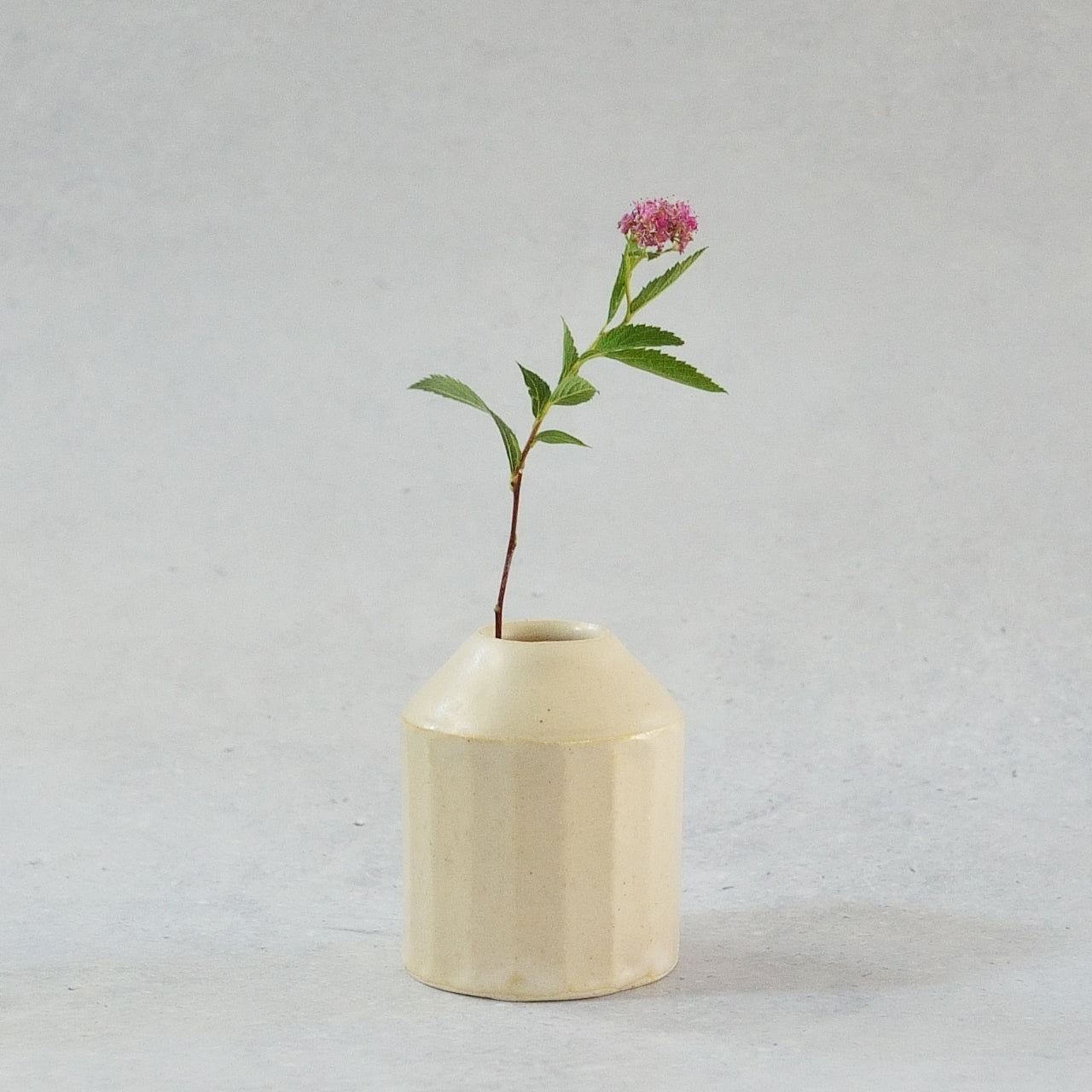 233 えんぴつホワイト