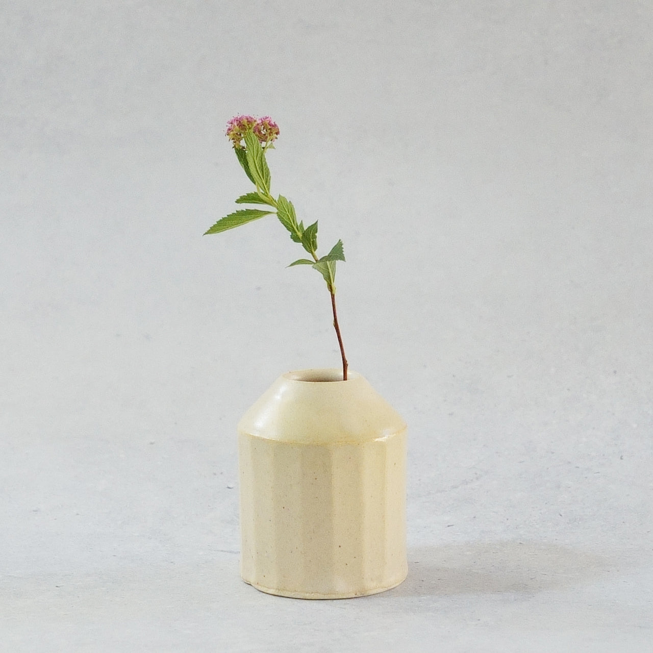 233 えんぴつホワイト