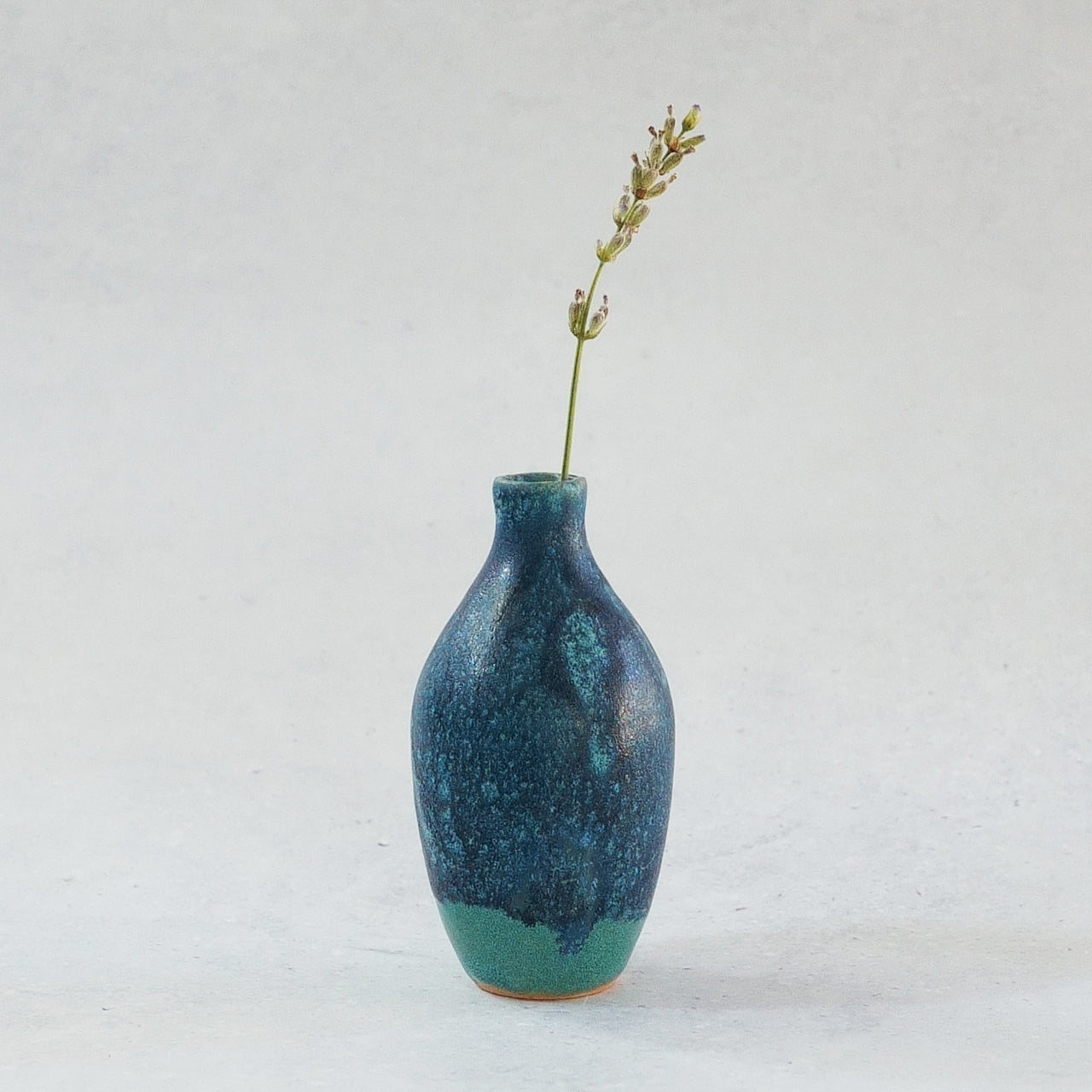 238 Midnight Stardust unique