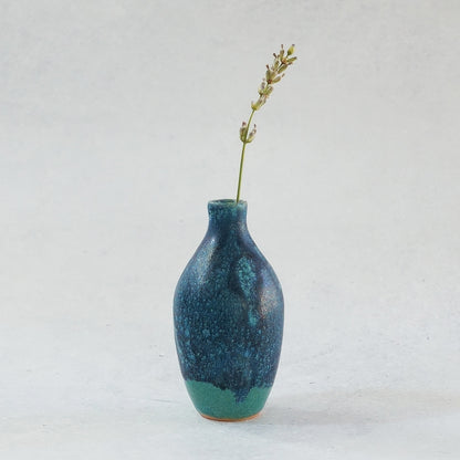 238 Midnight Stardust unique