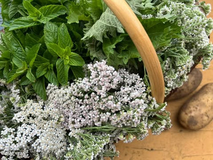 【終了しました】お肌ケア・オーガニックソープ作りワークショップ