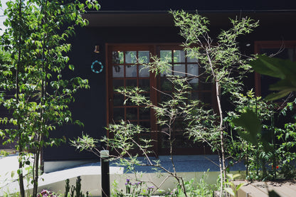 Atelier Little KICHIJOJI