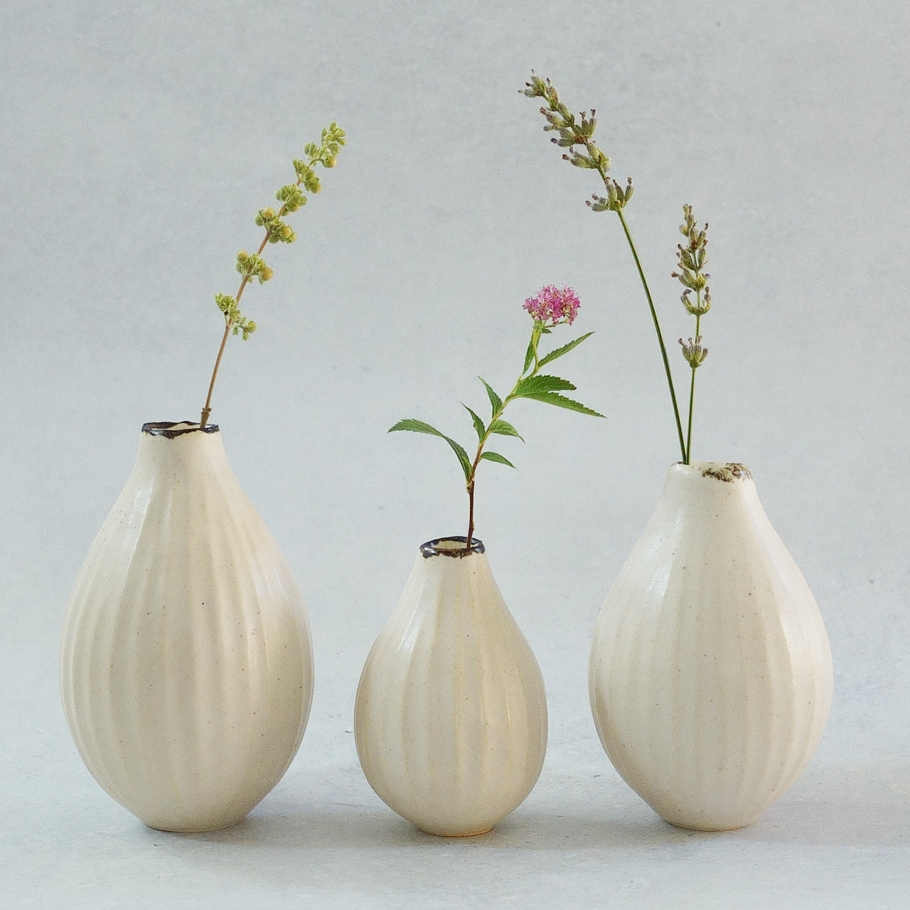 216A 白花 White Lily