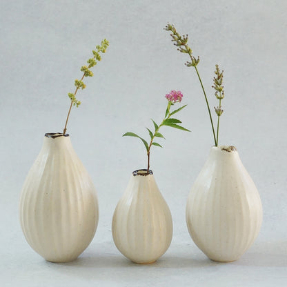 217 白花 White Lily Small